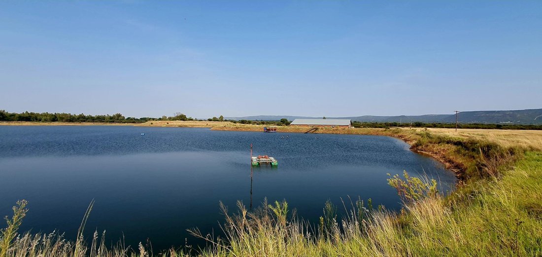 Farm Ranch in Mookgopong, Limpopo, South Africa 4 - 15496715