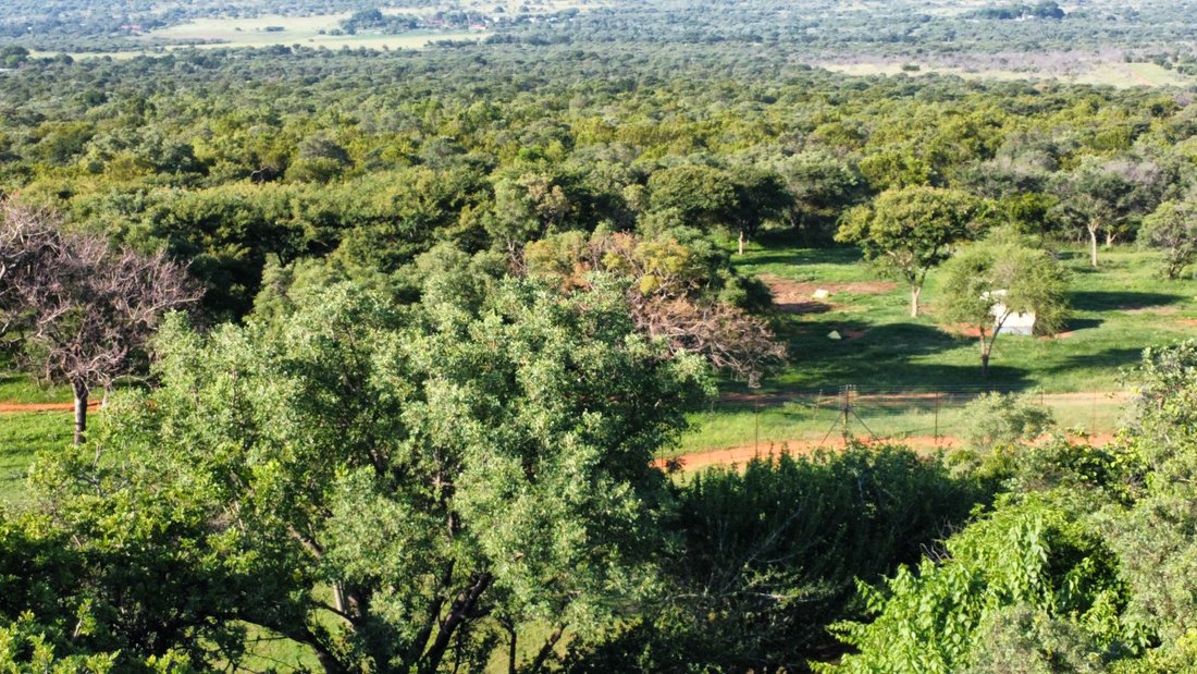 387 Ha Bushveld Game Farm Groblersdal In Groblersdal, Limpopo, South ...
