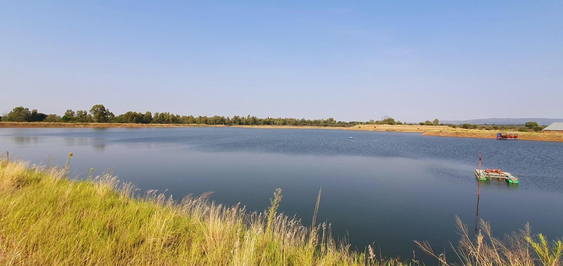 Farm Ranch in Mookgopong, Limpopo, South Africa 5 - 15496715