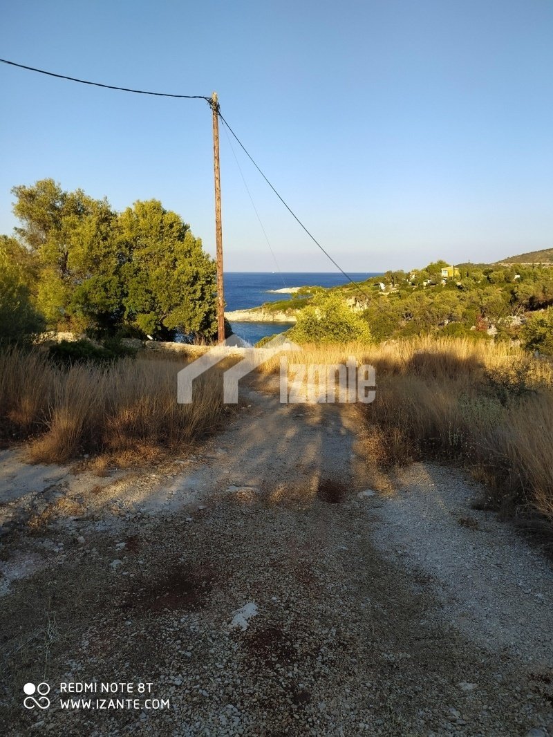 Land in Bolimon, Elaties, Greece 3 - 13694081