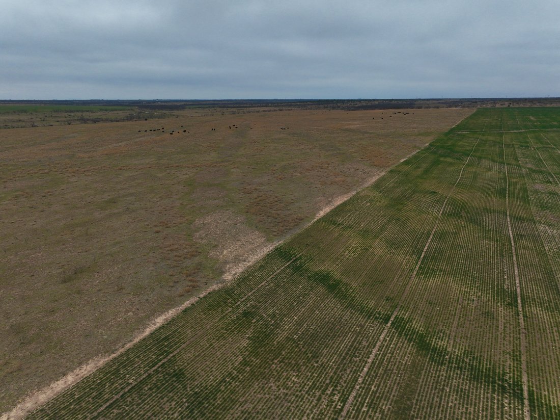 Farm Ranch in Ballinger, Texas, Vereinigte Staaten 4 - 15499356