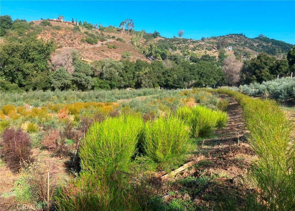 Land in Temecula, California, United States 5 - 15499201