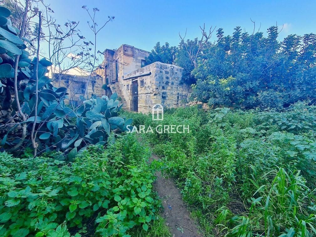 House in Kalkara, Malta 2 - 14313535