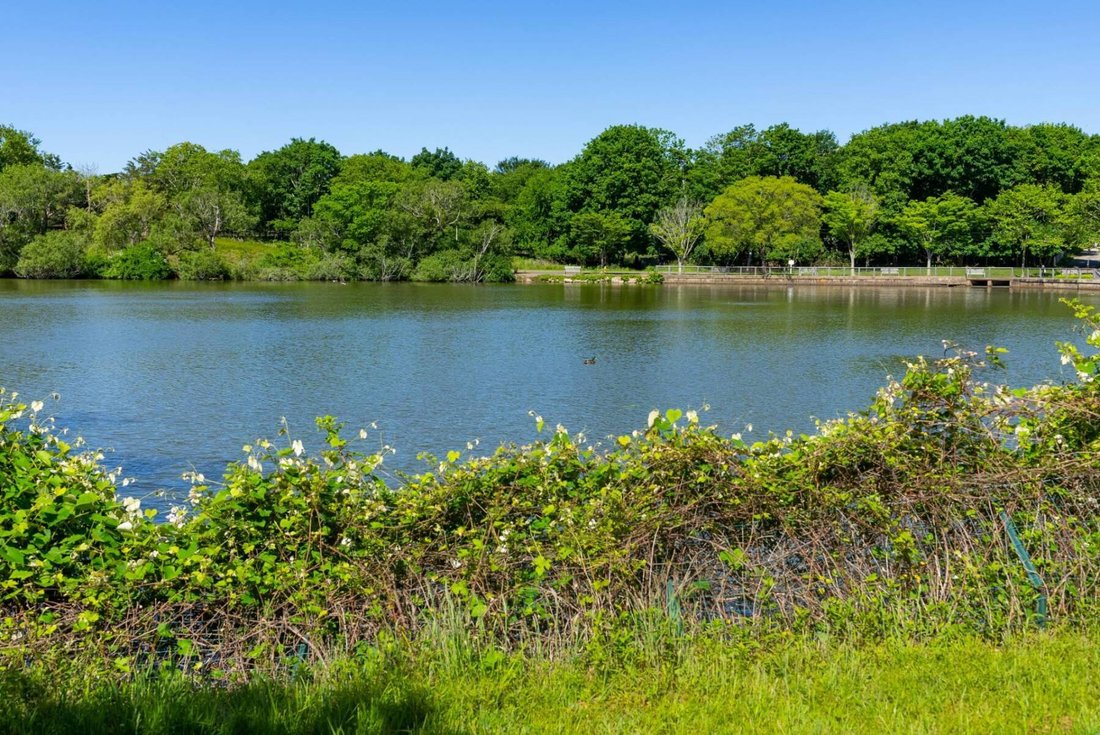 Land in Southampton, New York, United States 4 - 15498588