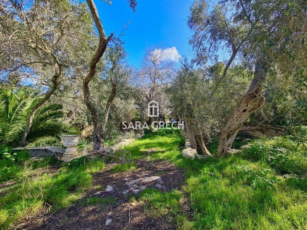 Estate in Haz-Zebbug, Malta 3 - 14313376