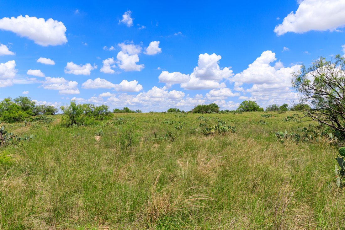 Farm Ranch in Carrizo Springs, Texas, United States 5 - 15499366