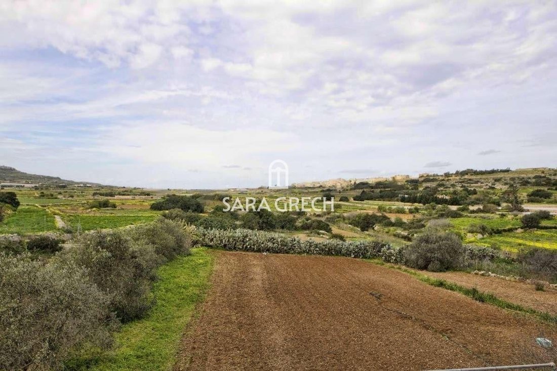 House in Mgarr, Malta 3 - 14311142
