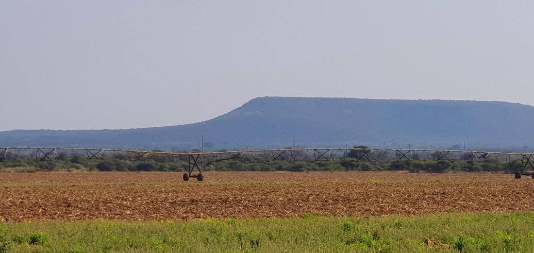 Farm Ranch in Mookgopong, Limpopo, South Africa 1 - 15496715