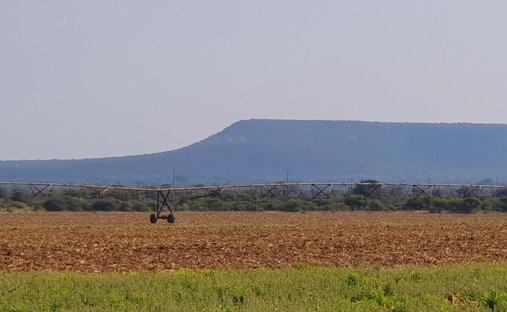 Farm Ranch in Mookgopong, Limpopo, South Africa 1