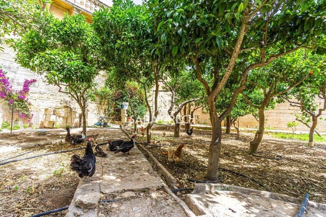 Estate in Haz-Zebbug, Malta 5 - 14312235