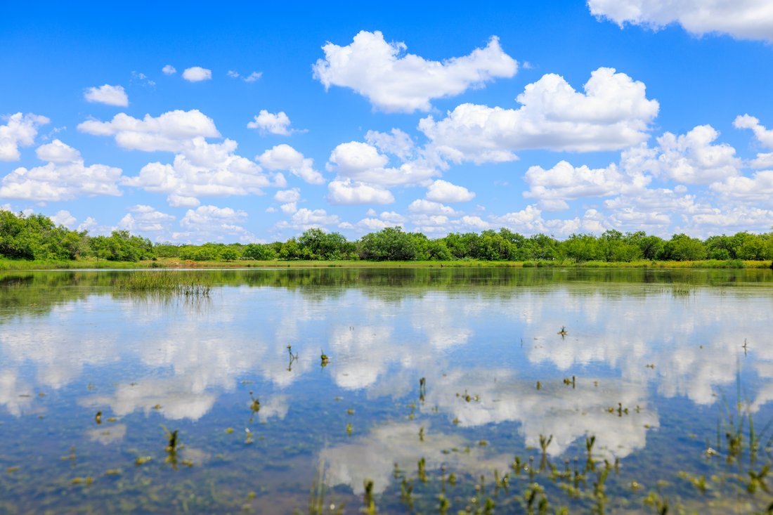 Farm Ranch in Carrizo Springs, Texas, United States 1 - 15499366