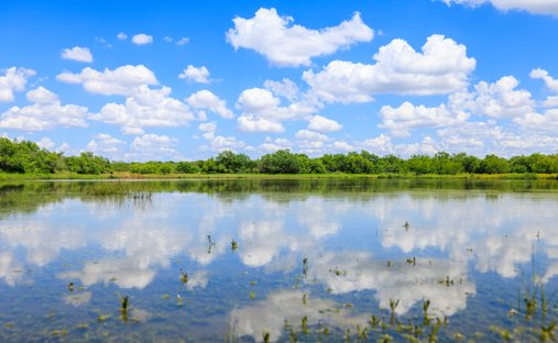 Azienda agricola a Carrizo Springs, Texas, Stati Uniti 1
