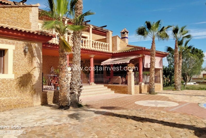 Finca in Los Montesinos, Valencian Community, Spain 5 - 15497608