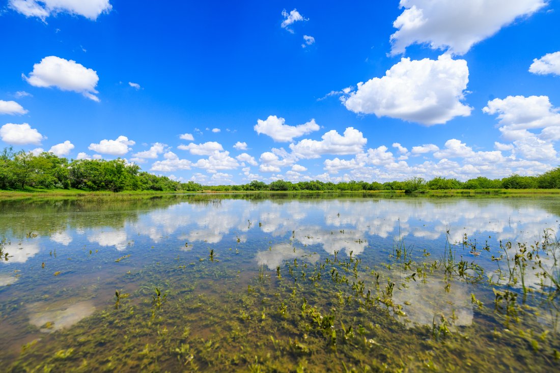 Farm Ranch in Carrizo Springs, Texas, United States 2 - 15499366