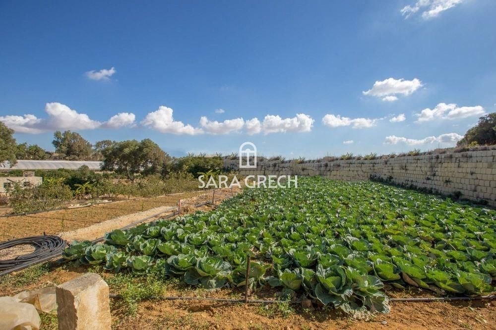 House in Ħad-Dingli, Malta 1 - 14313027