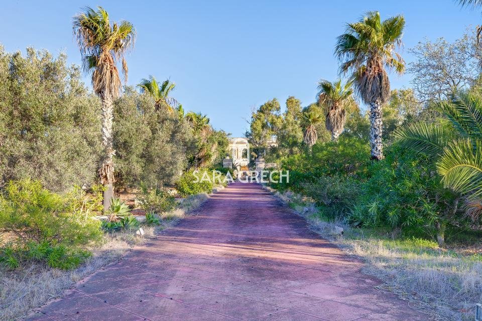 Estate in Saint Paul's Bay, Malta 3 - 14313792