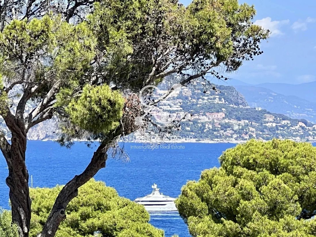 Villa in Saint-Jean-Cap-Ferrat, Provence-Alpes-Côte d'Azur, France 4 - 15496581