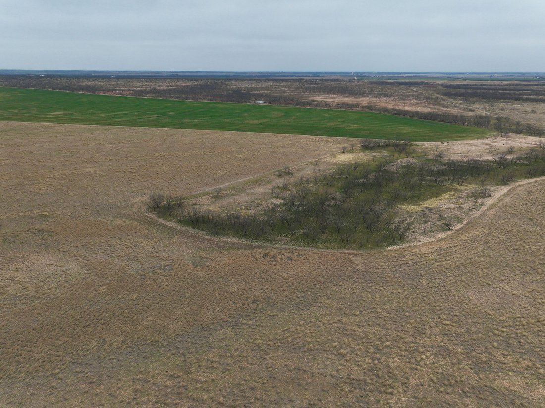 Farm Ranch in Ballinger, Texas, Vereinigte Staaten 3 - 15499356