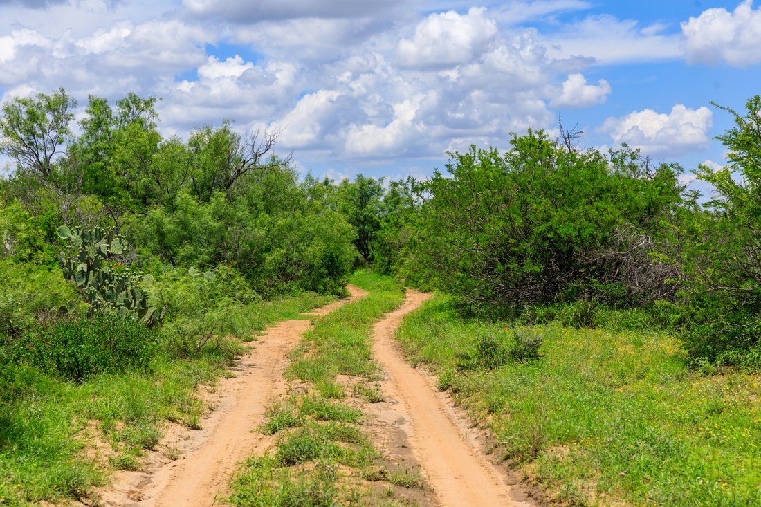 Farm Ranch in Carrizo Springs, Texas, United States 3 - 15499366