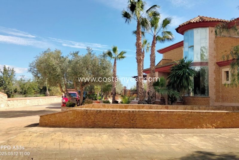 Finca in Los Montesinos, Valencian Community, Spain 3 - 15497608