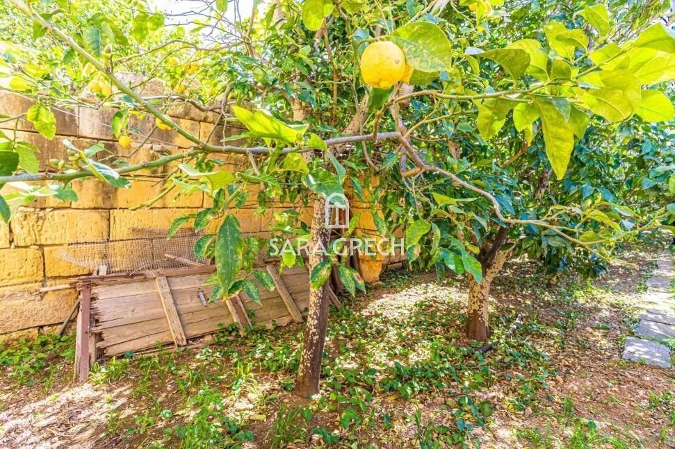 Townhouse in Qrendi, Malta 2 - 14313571