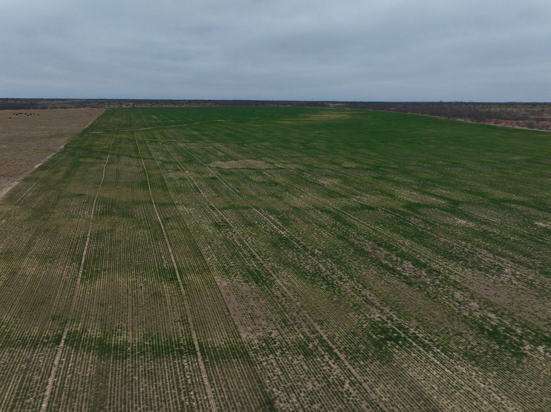 Farm Ranch in Ballinger, Texas, Vereinigte Staaten 5 - 15499356