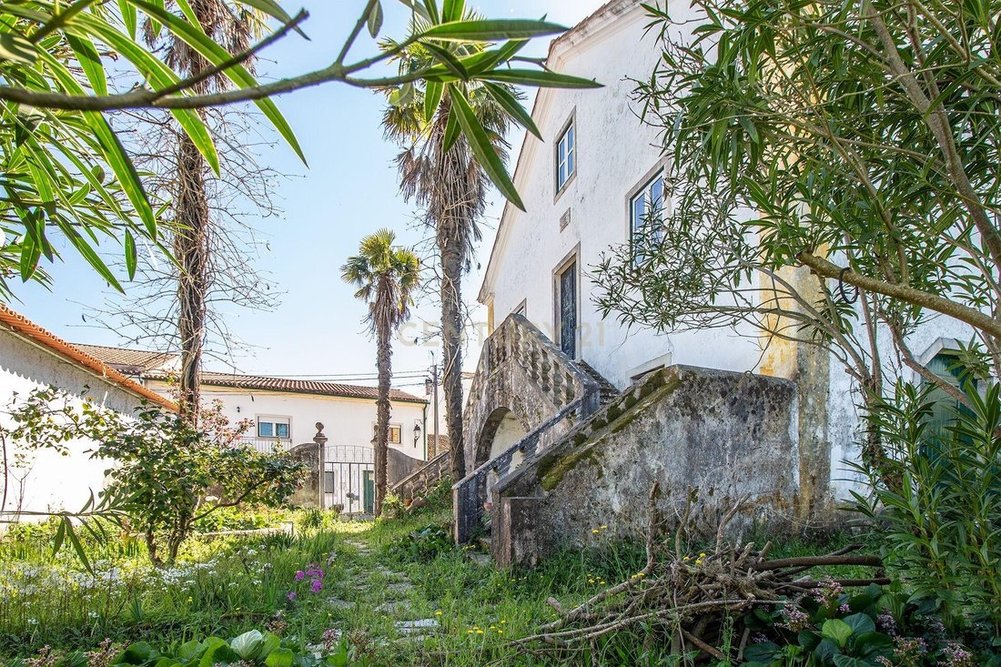 Whispers of 1892: A Timeless Portuguese Quinta Between Vine & Sky