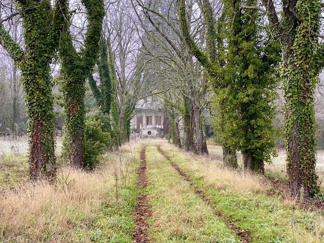 House in Le Lac-Bacalan, Bordeaux, France 4 - 15497234