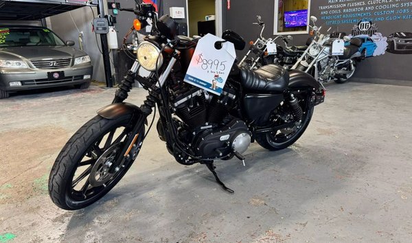 2021 Harley-Davidson XL883N Iron 883 (15500361)