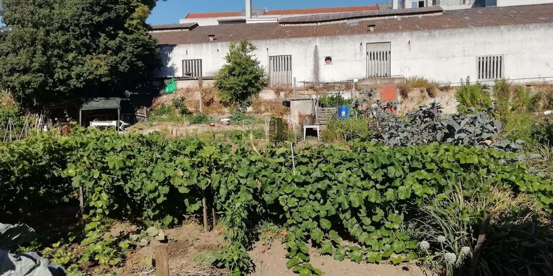 Setubal, Setubal, Portugal 2 - 15506541