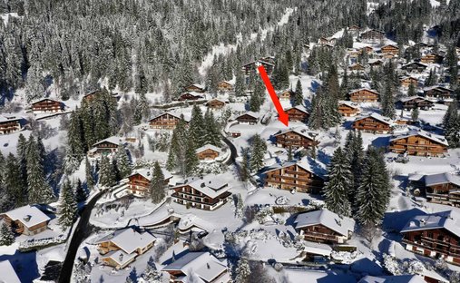 Apartment in Ollon, Vaud, Switzerland 1