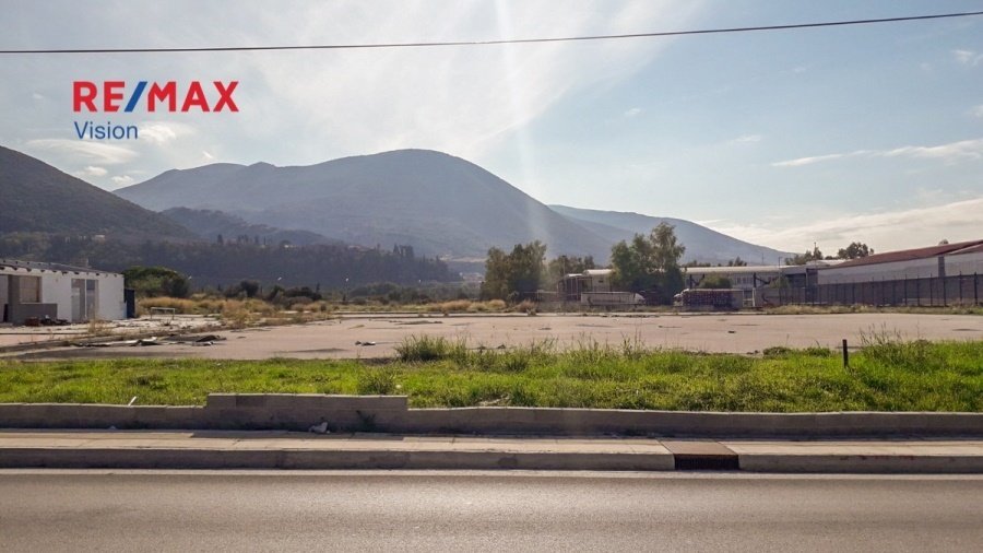 Land in Petrotou, Messatida, Peloponnese, Western Greece and the Ionian 4 - 15504828