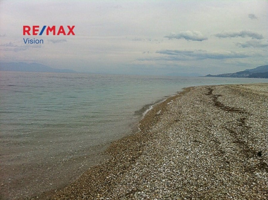 Land in Akratas, Peloponnese, Western Greece and the Ionian, Greece 2 - 15504849