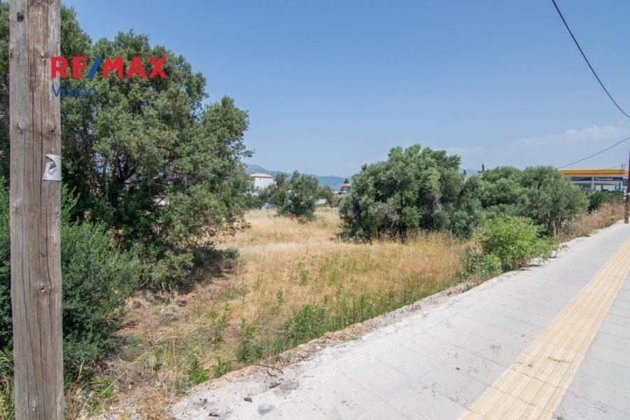 Land in 1st Community of Patras - Arctic Sector, Peloponnese, Western Greece and the Ionian, Greece 2 - 15504814