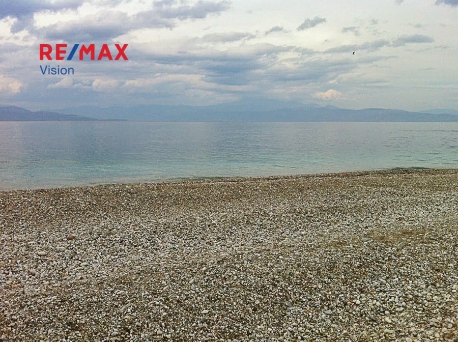 Land in Akratas, Peloponnese, Western Greece and the Ionian, Greece 4 - 15504849