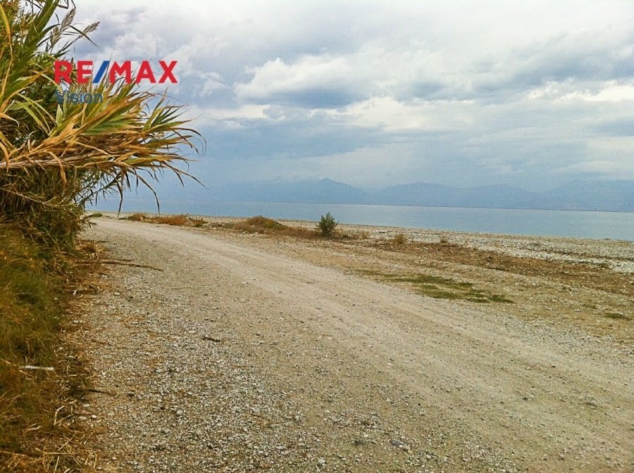 Land in Akratas, Peloponnese, Western Greece and the Ionian, Greece 3 - 15504849