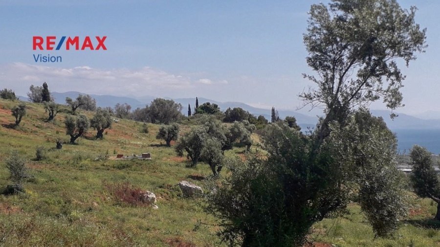 Land in Rododaphnis, Aigio, Peloponnese, Western Greece and the Ionian 3 - 15504833