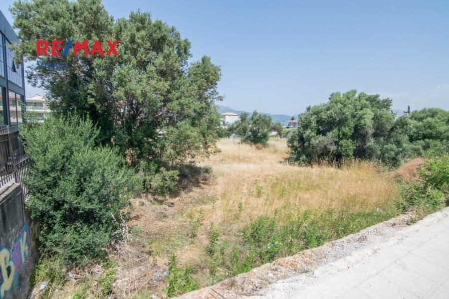 Land in 1st Community of Patras - Arctic Sector, Peloponnese, Western Greece and the Ionian, Greece 1 - 15504814