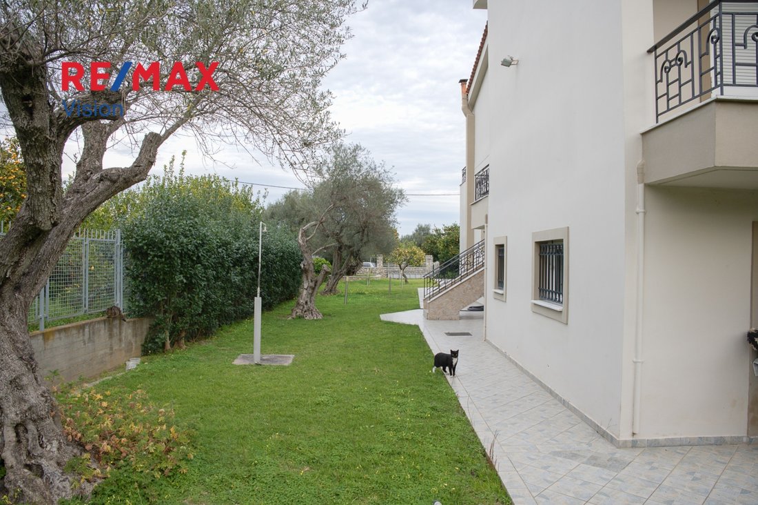 House in Rododaphnis, Aigio, Peloponnese, Western Greece and the Ionian 5 - 15504811
