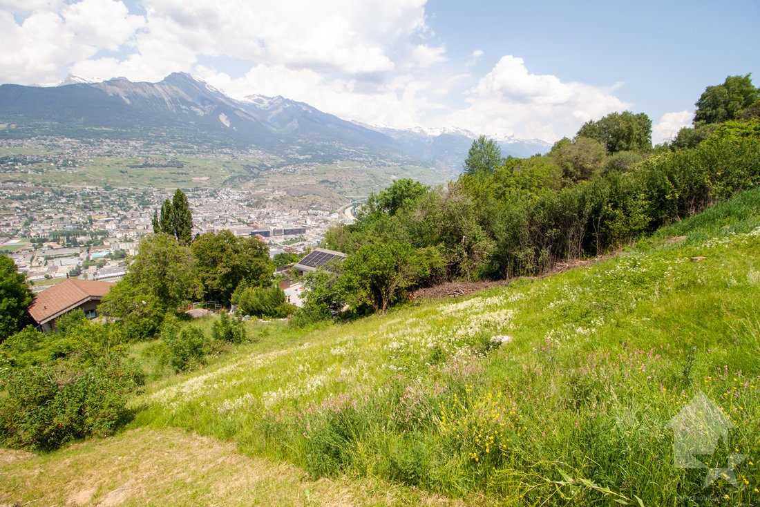 Sion, Valais, Switzerland 5 - 14563698