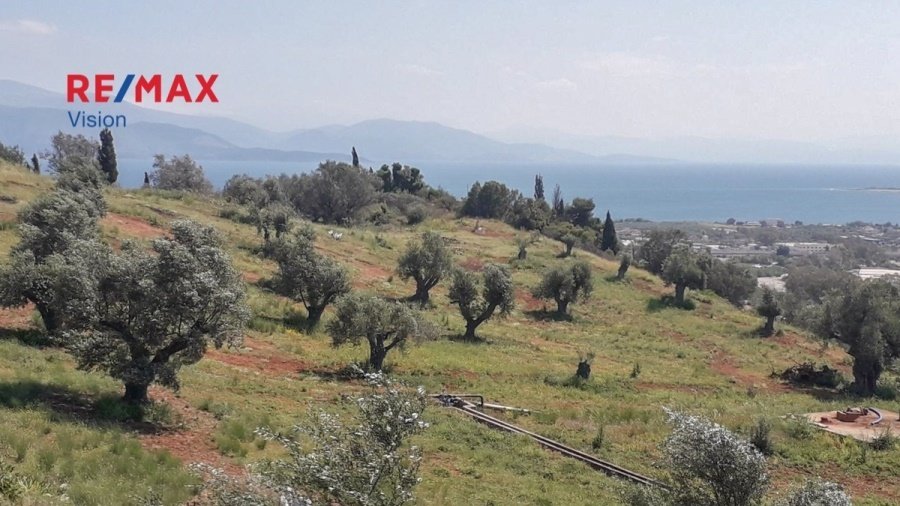 Land in Rododaphnis, Aigio, Peloponnese, Western Greece and the Ionian 5 - 15504833
