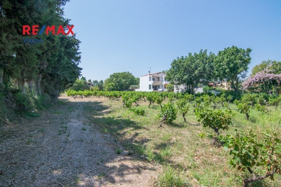 Land in Makronisos, Aegean, Greece 2 - 15504831