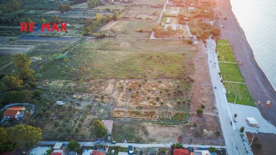 Land in Kato Axaias, Dymi, Peloponnese, Western Greece and the Ionian 3 - 15504832