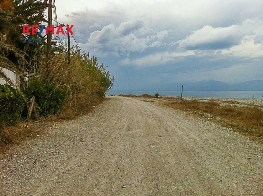 Land in Akratas, Peloponnese, Western Greece and the Ionian, Greece 5 - 15504849