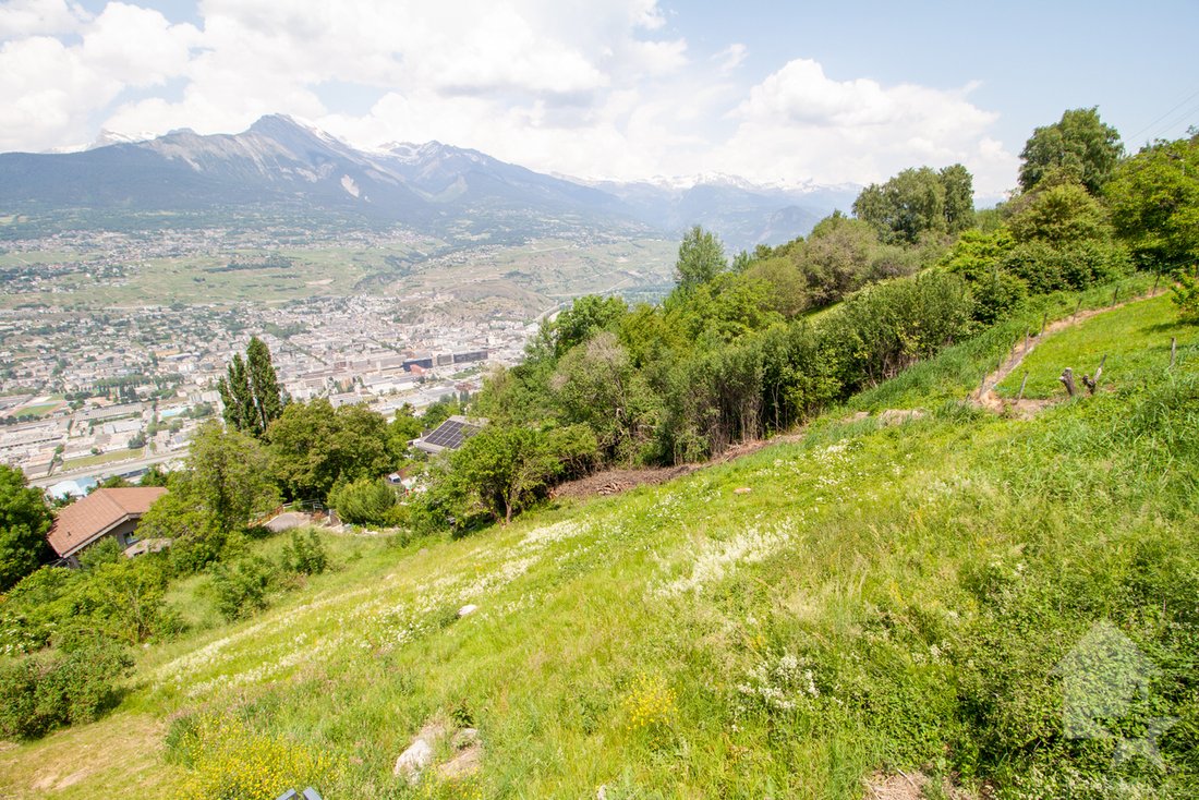Sion, Valais, Switzerland 4 - 14563698