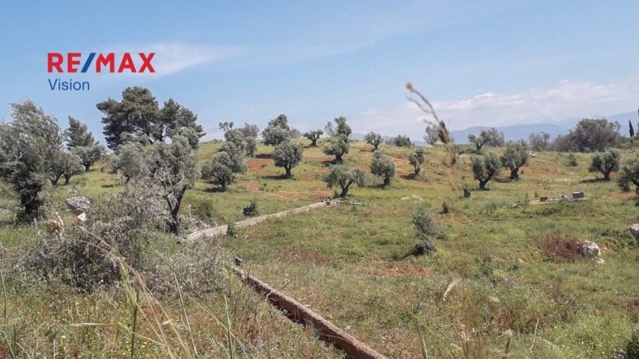 Land in Rododaphnis, Aigio, Peloponnese, Western Greece and the Ionian 2 - 15504833