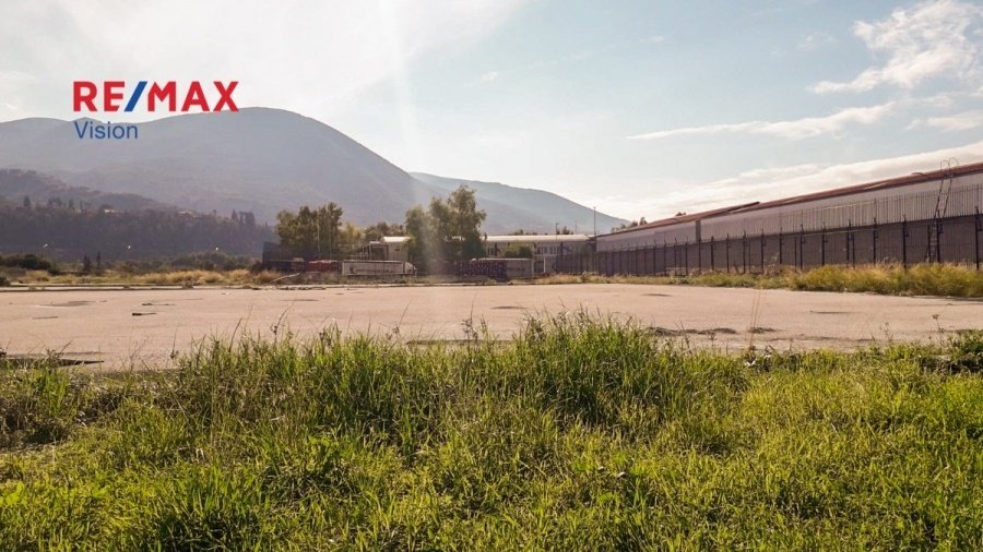 Land in Petrotou, Messatida, Peloponnese, Western Greece and the Ionian 3 - 15504828