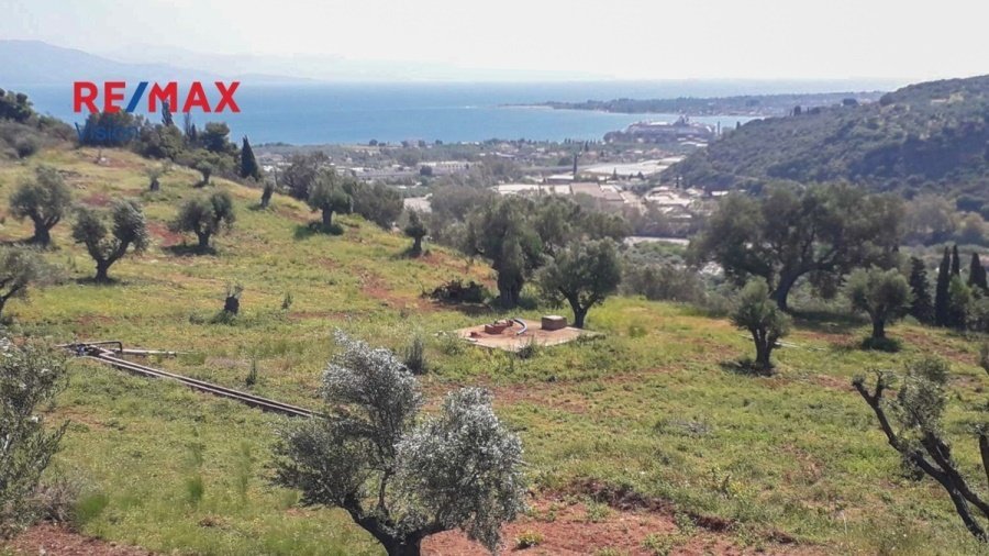 Land in Rododaphnis, Aigio, Peloponnese, Western Greece and the Ionian 1 - 15504833