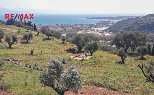 Land in Rododaphnis, Egio, Peloponnese, Western Greece and the Ionian 1