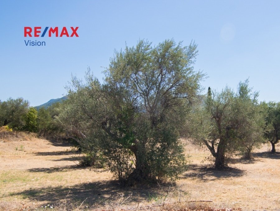 Land in 3rd Community of Patras - Eastern Sector, Peloponnese, Western Greece and the Ionian, Greece 4 - 15504815